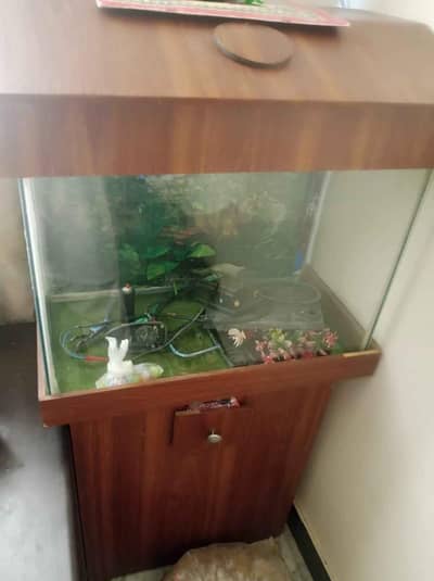 Aquarium