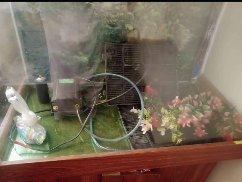 Aquarium 3