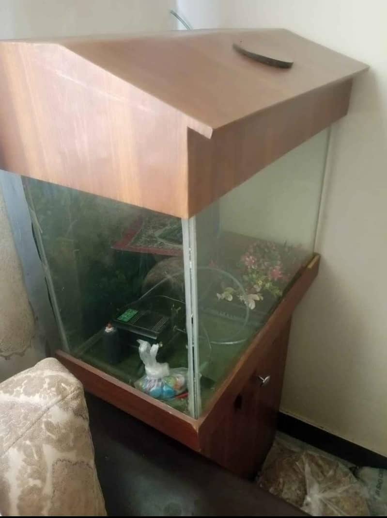 Aquarium 4