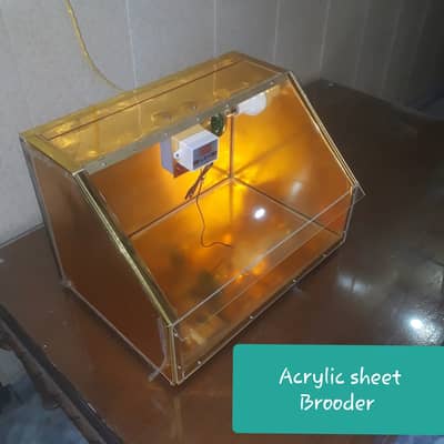 Brooder insulator body for parrot peigon teeatr chicks