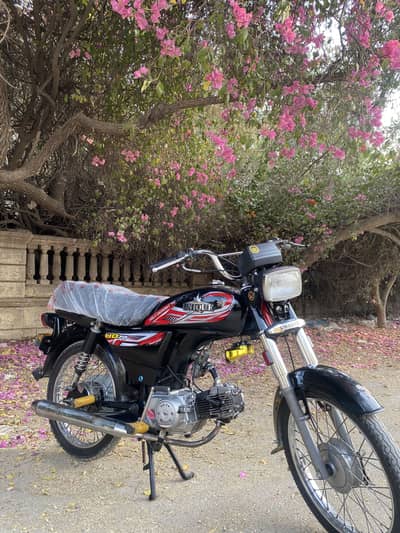 Bionic 70cc