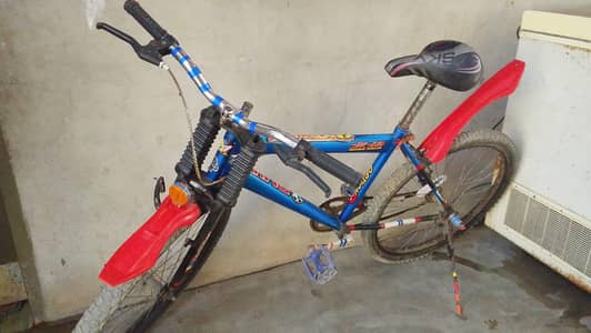 Cycle 24 number