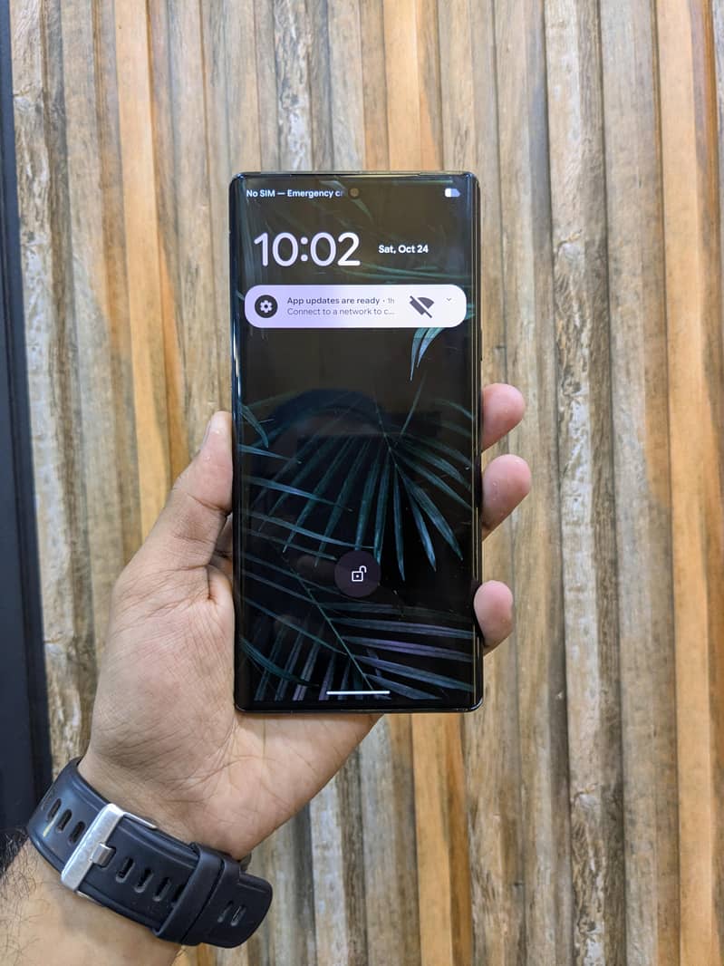 Google Pixel 6 Pro 1