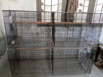 Birds Cage