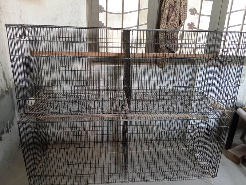 Birds Cage 0