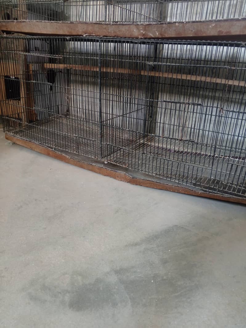 Birds Cage 2