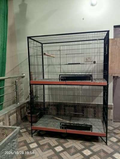 cage for parrots
