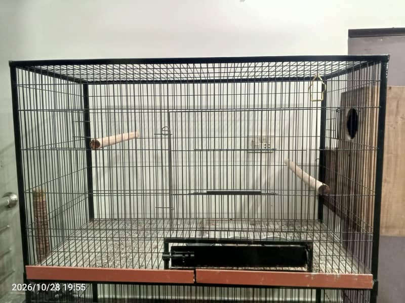 cage for parrots 3