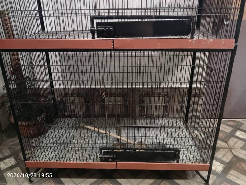 cage for parrots 4