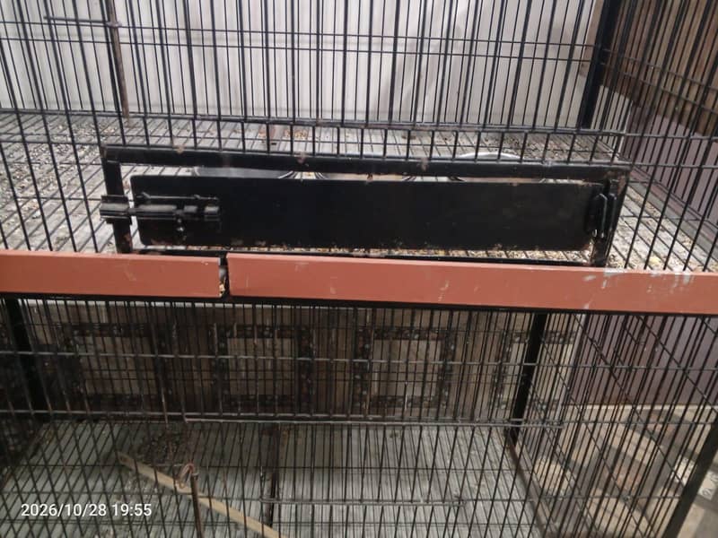 cage for parrots 5