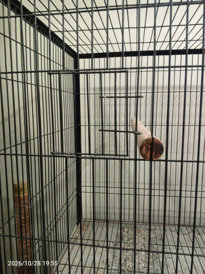 cage for parrots 6