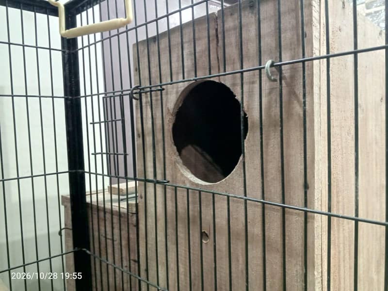 cage for parrots 8