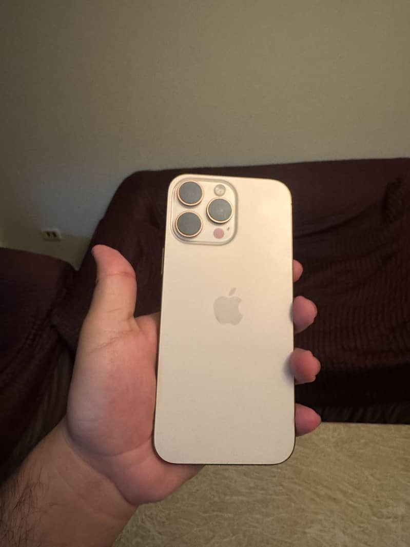 Apple iPhone 16 Pro Max 1