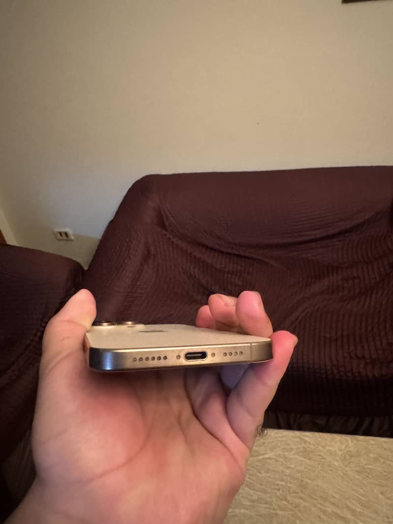 Apple iPhone 16 Pro Max 3