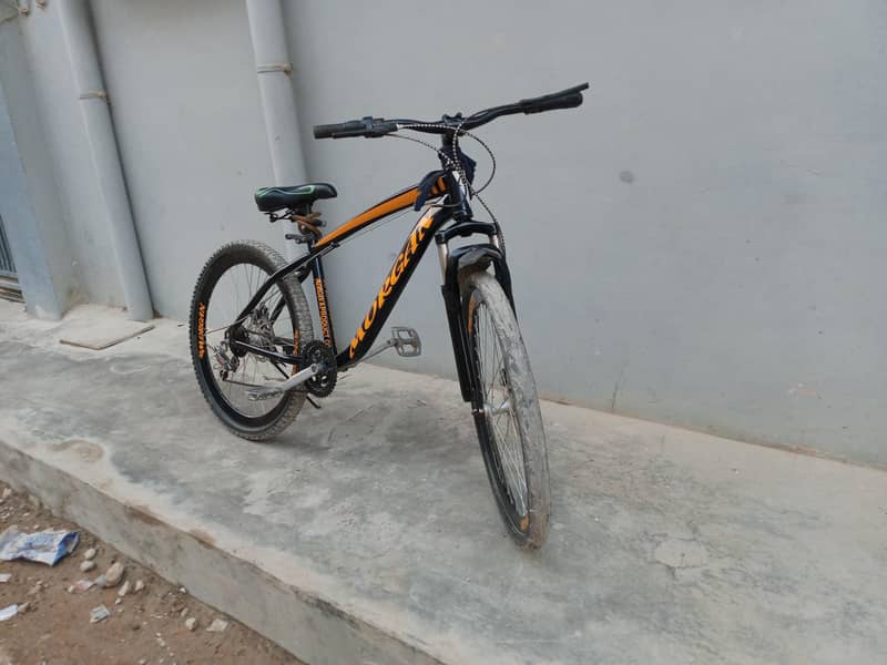 Morgan importid cycle 1