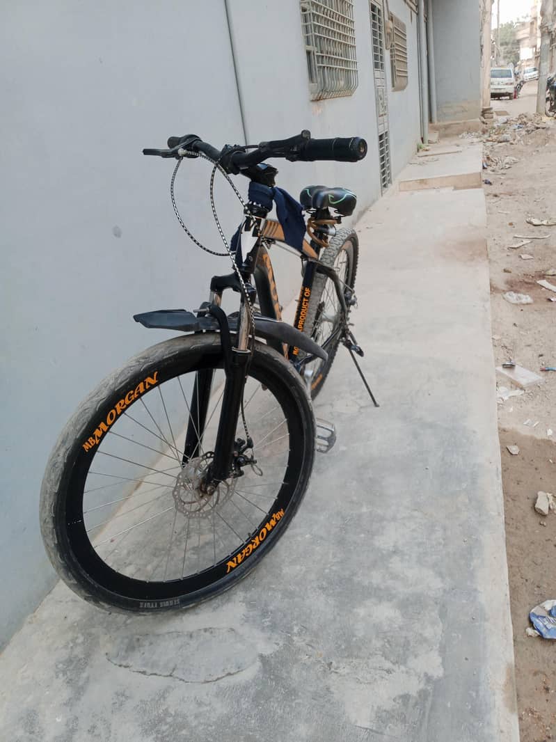 Morgan importid cycle 2