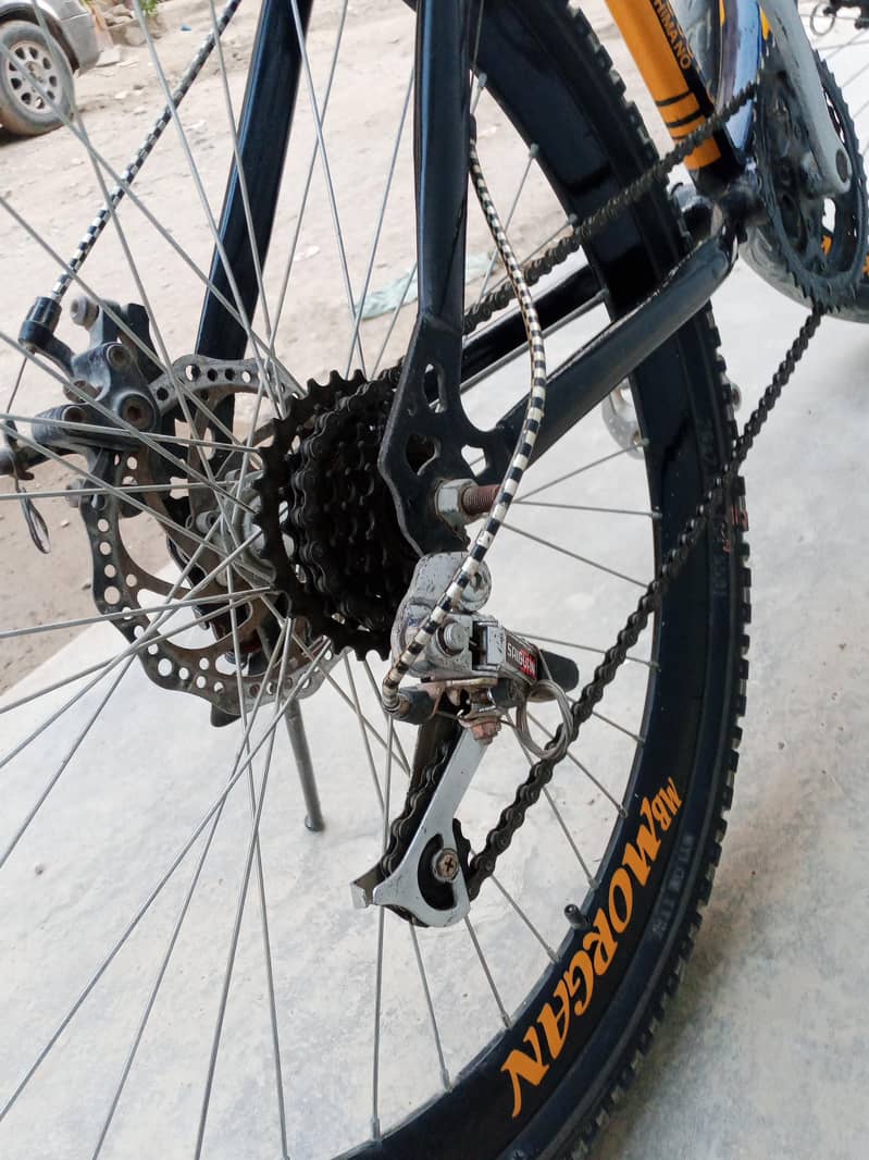 Morgan importid cycle 3