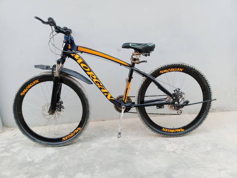 Morgan importid cycle 4