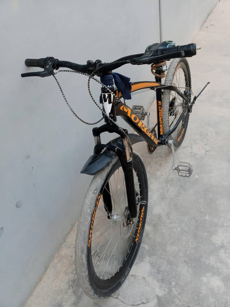 Morgan importid cycle 5