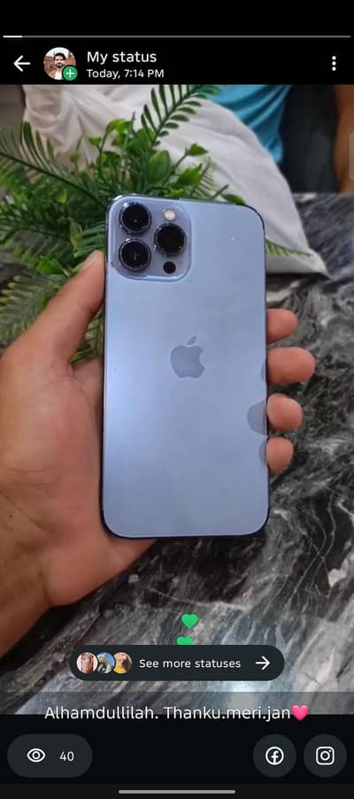 Apple iPhone 13 Pro Max