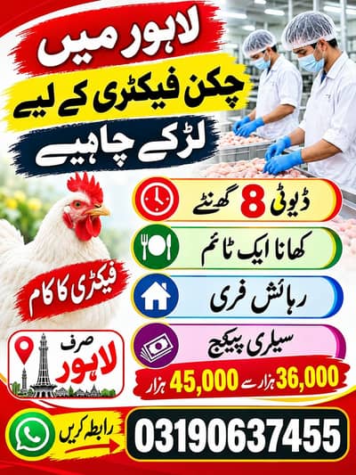 Chicken factory