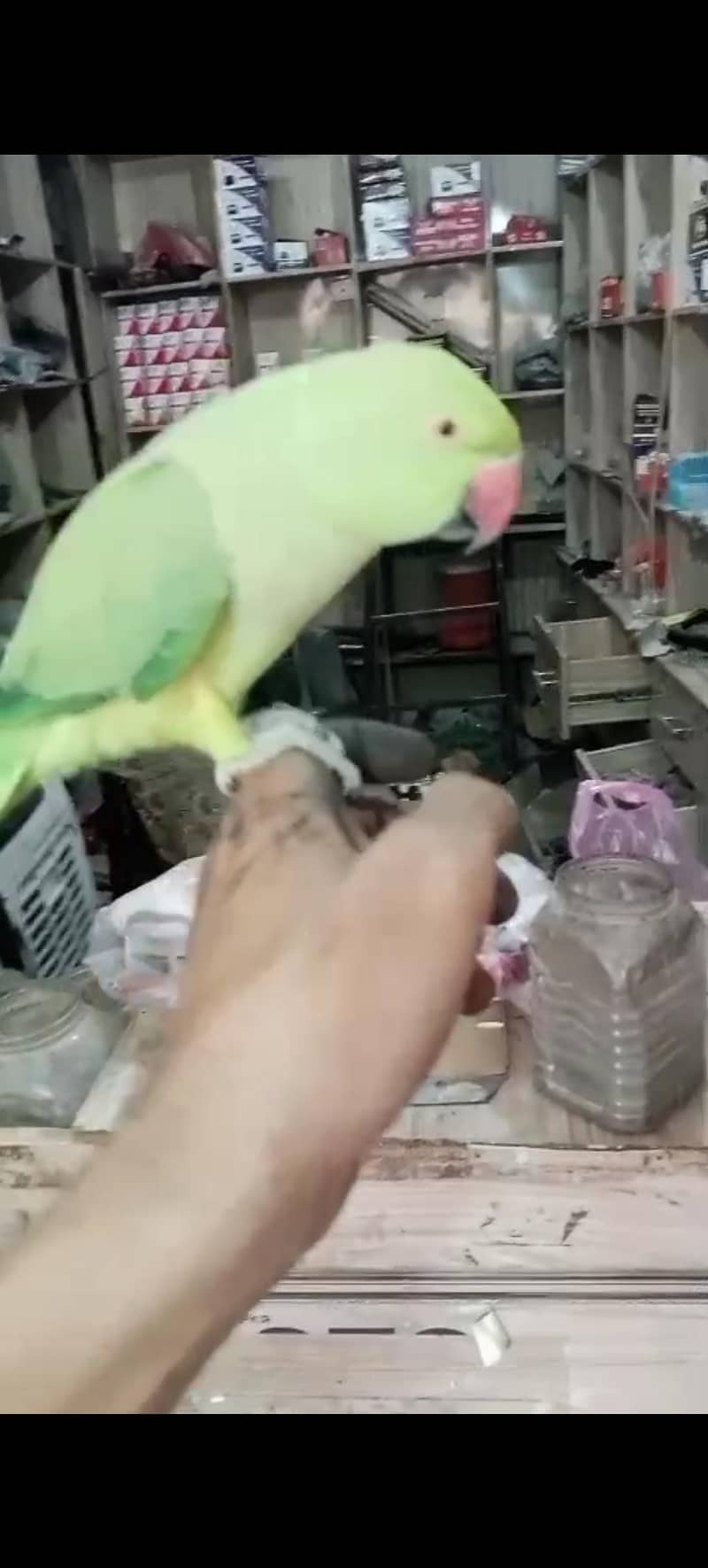 Female 0