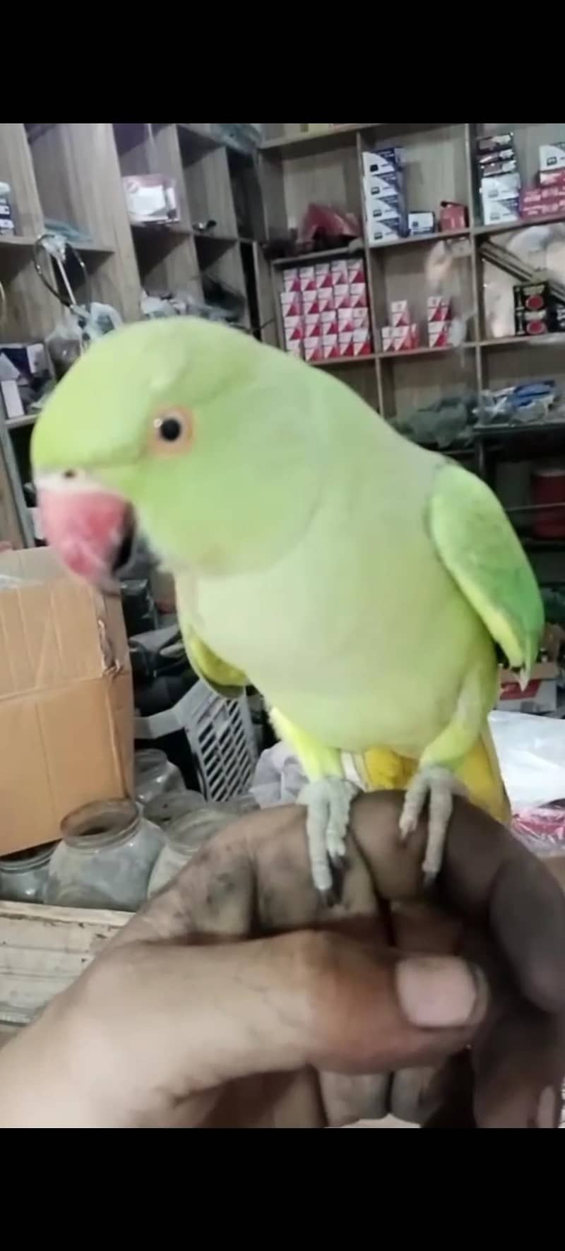 Female 3