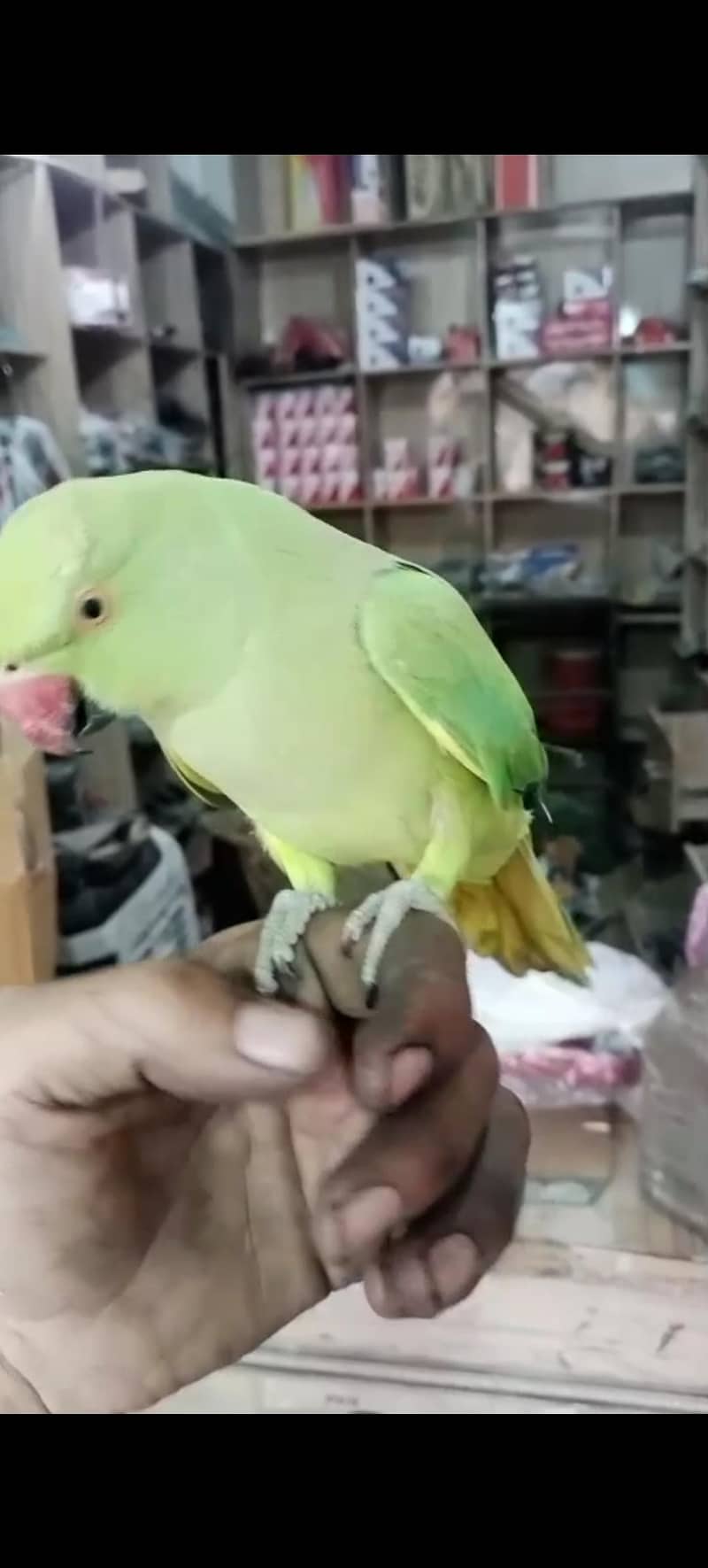 Female 4