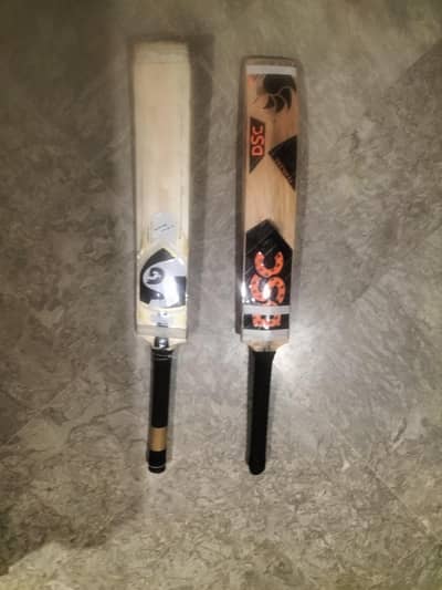 Kashmir willow bats