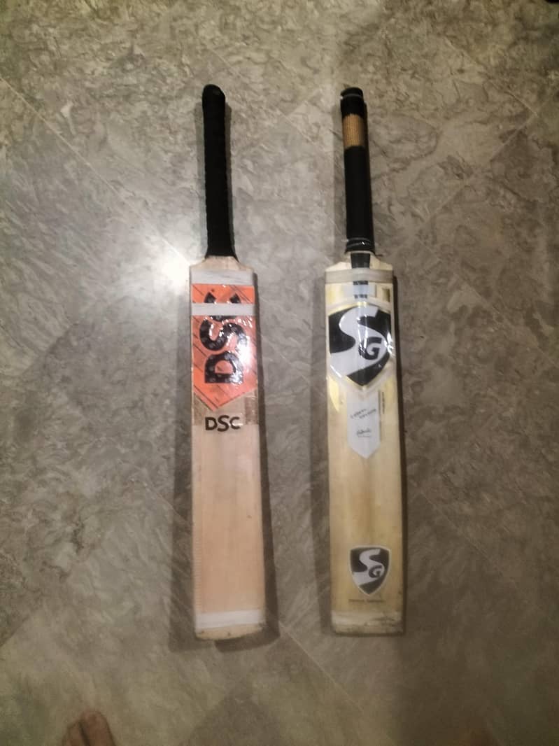 Kashmir willow bats 1