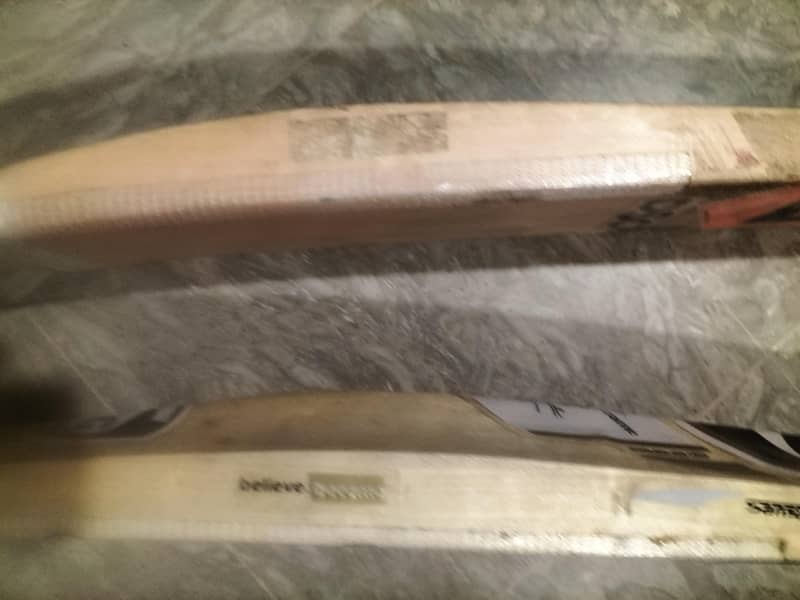 Kashmir willow bats 2