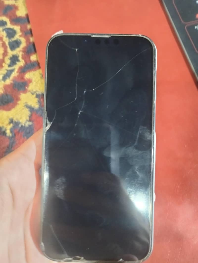 Apple iPhone 13 0