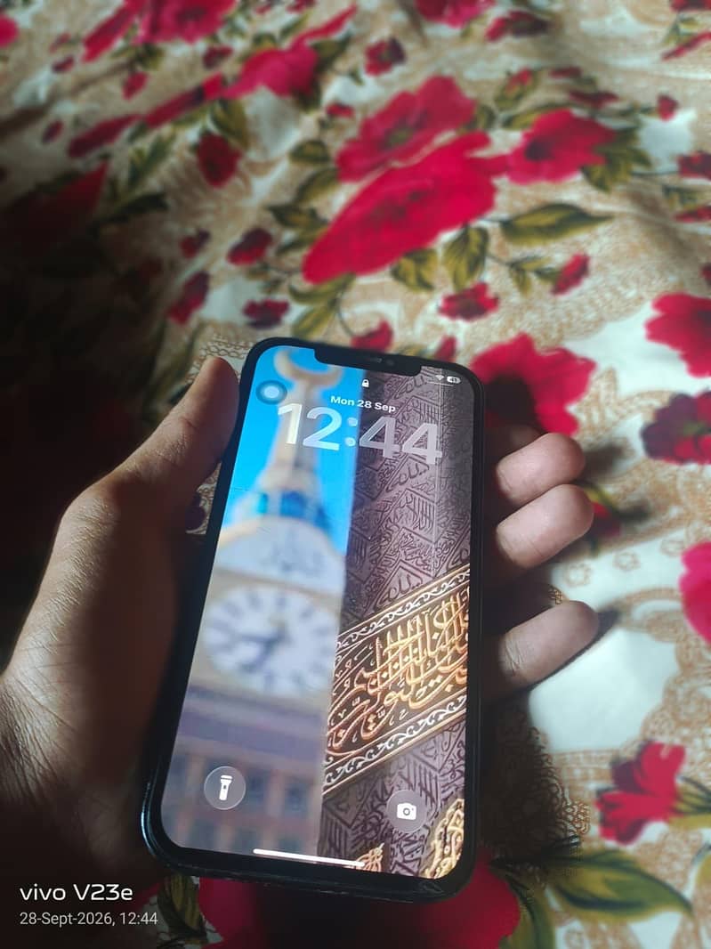 Apple iPhone 12 Pro Max 2