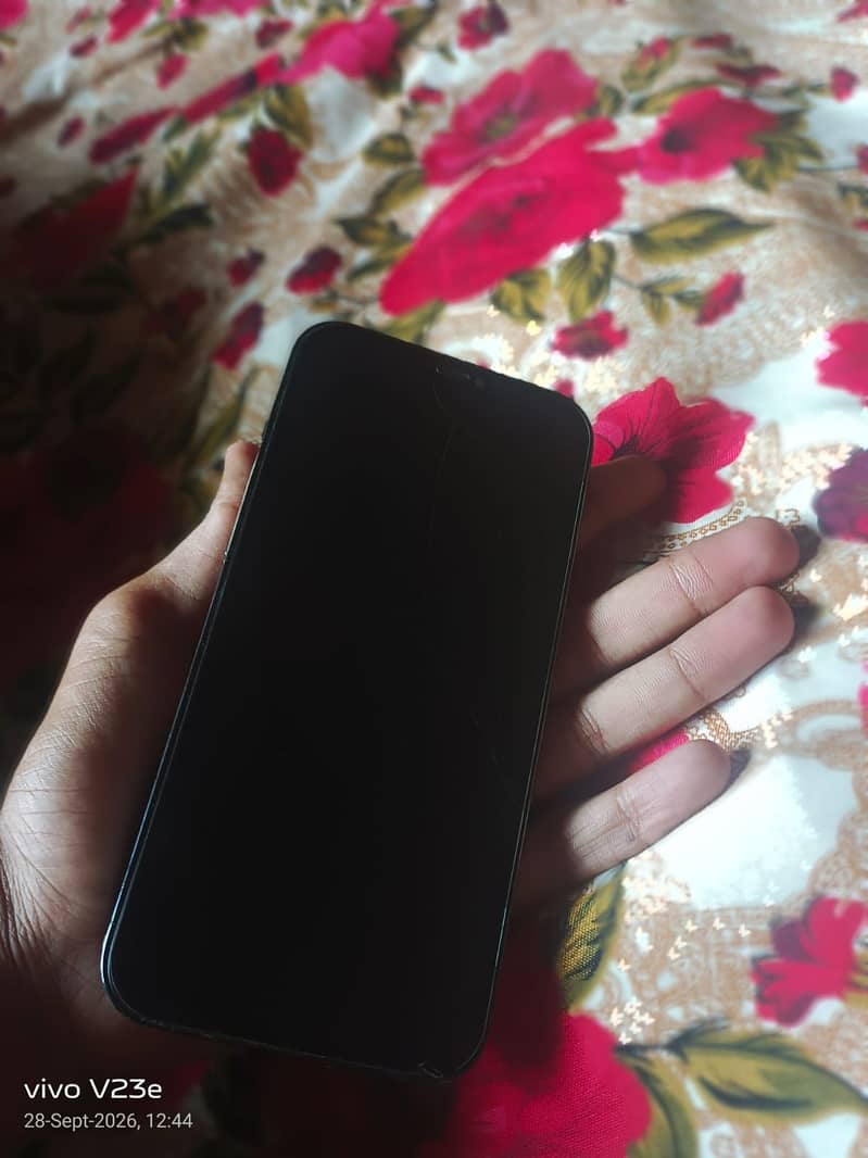 Apple iPhone 12 Pro Max 6