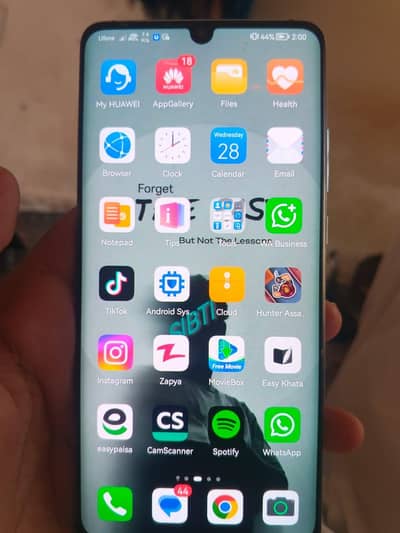 Huawei P30 Pro