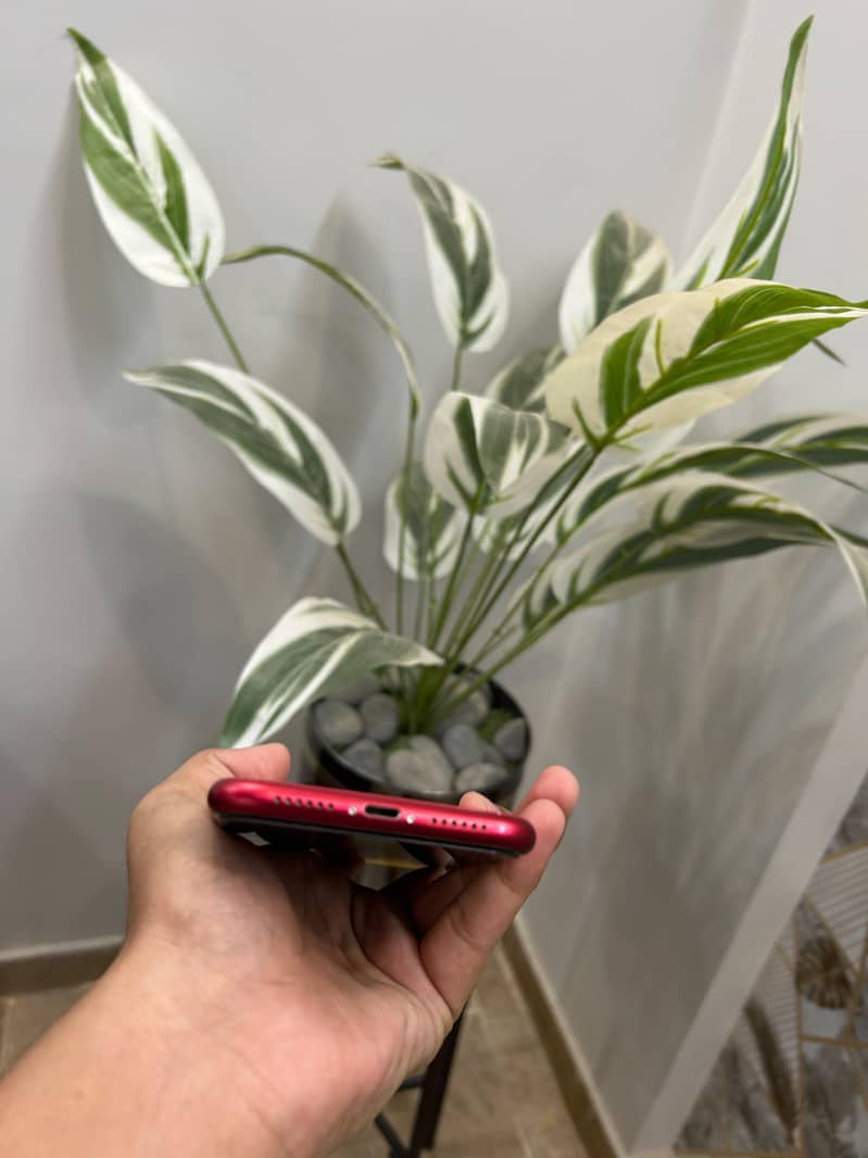 iphone 11 6