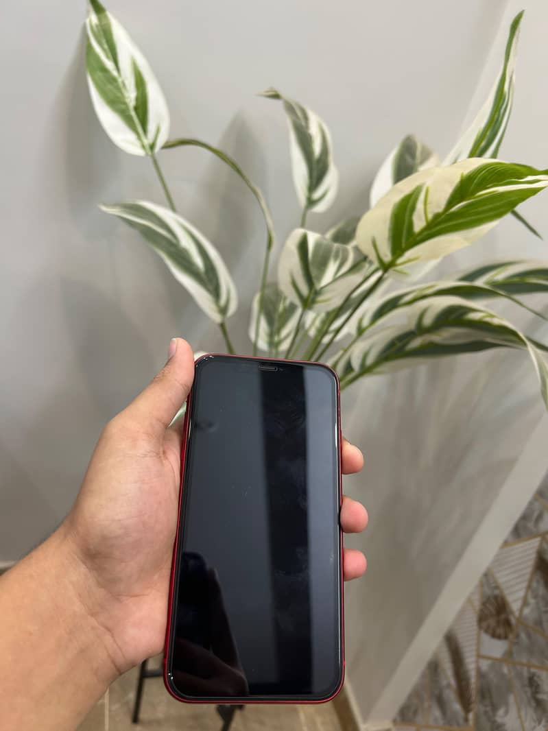 iphone 11 7