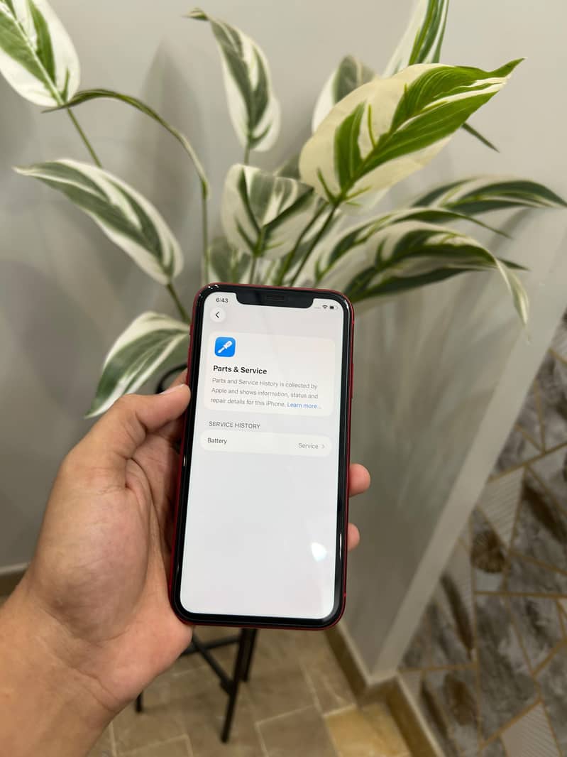 iphone 11 8
