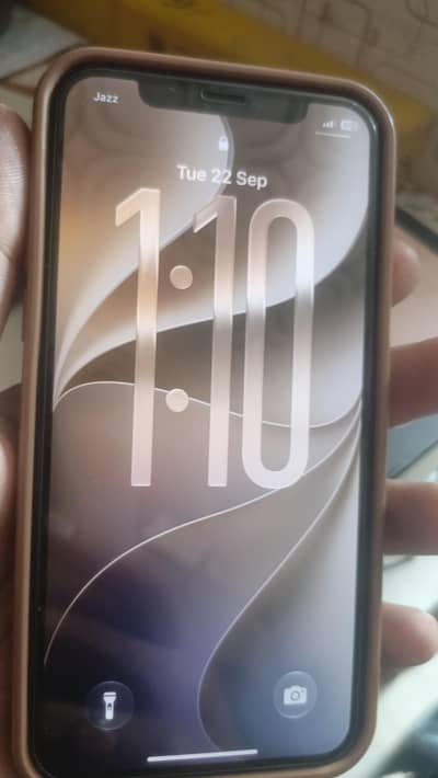 Apple iPhone 11 pro