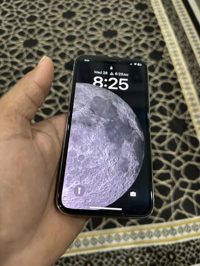 Apple iPhone X