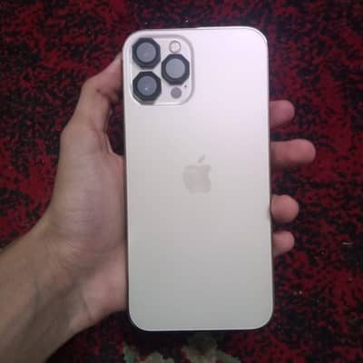 Apple iPhone 12 Pro Max