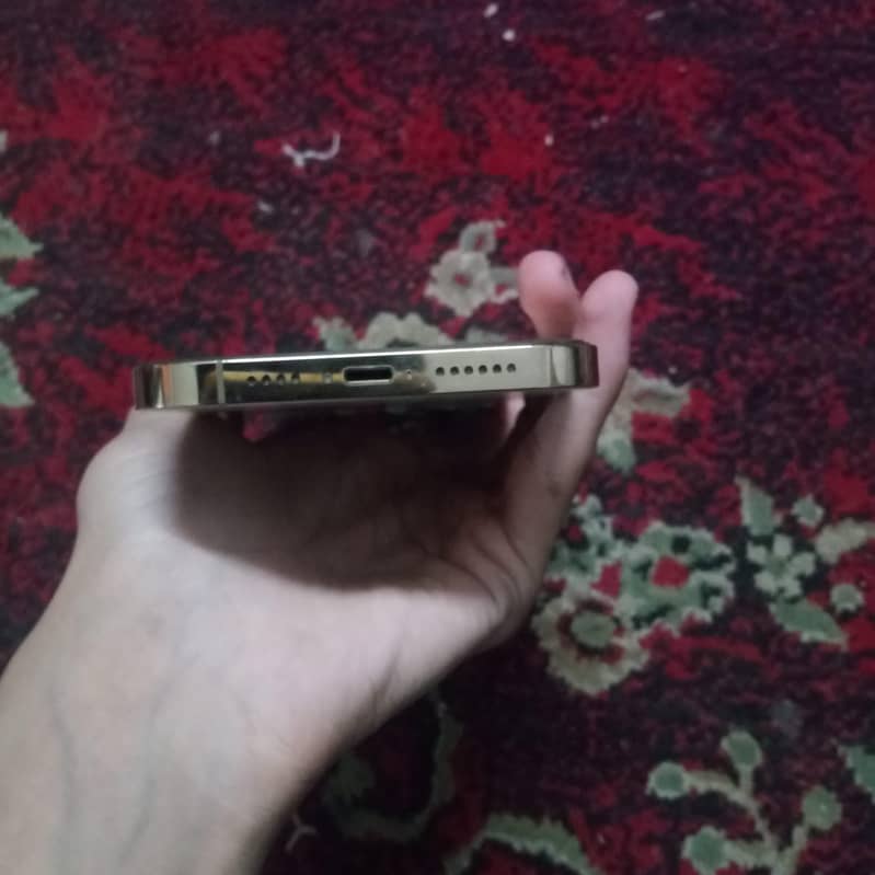 Apple iPhone 12 Pro Max 1