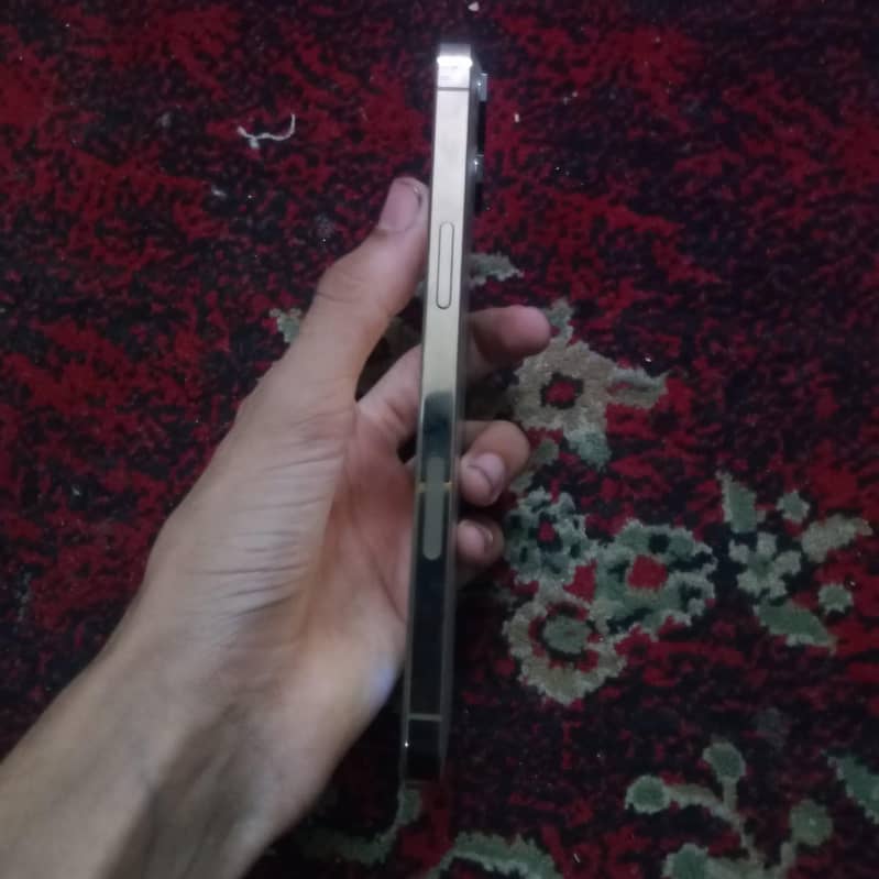 Apple iPhone 12 Pro Max 3