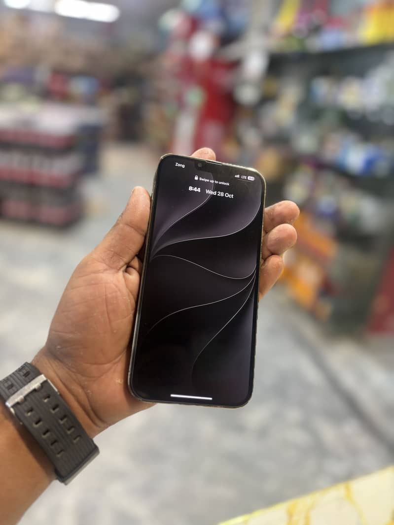 Apple iPhone 13 Pro Max 1