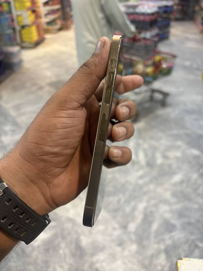Apple iPhone 13 Pro Max 3