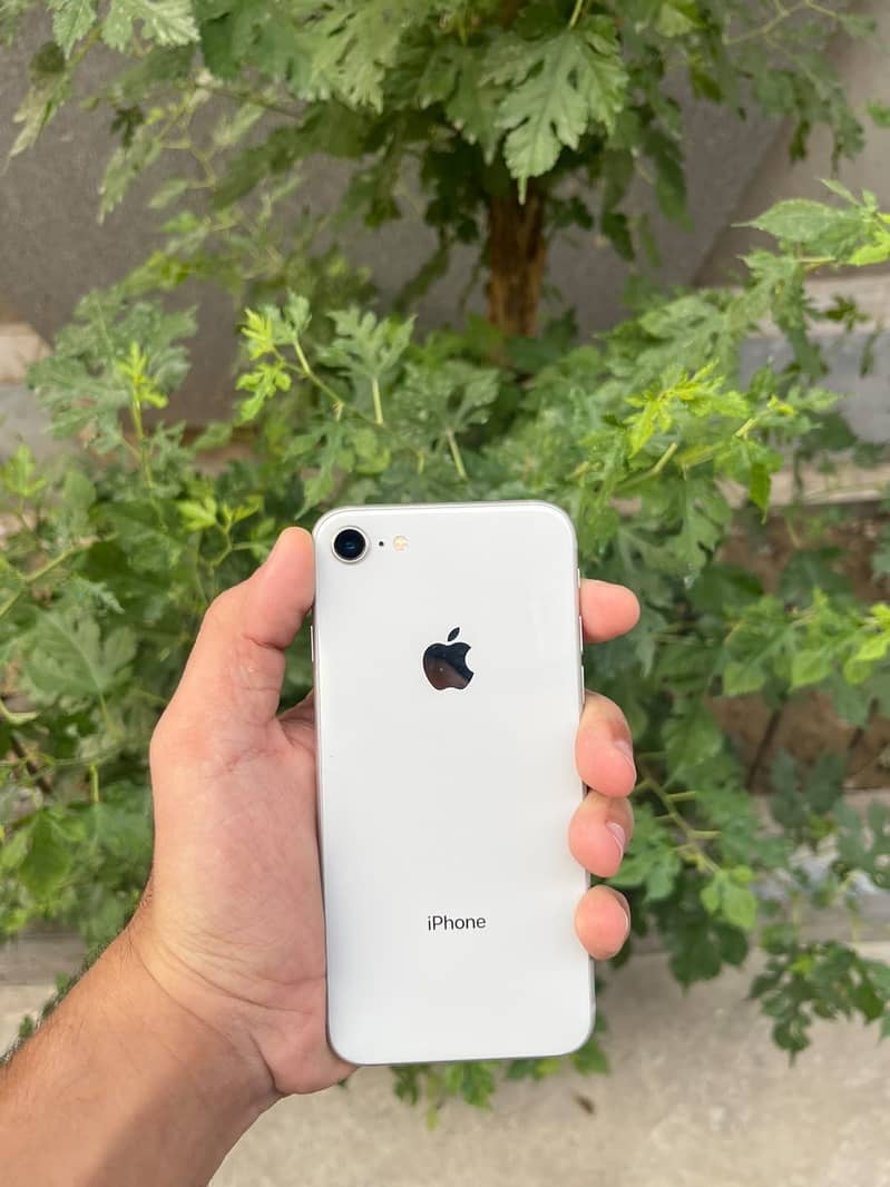 Apple iPhone 8 3
