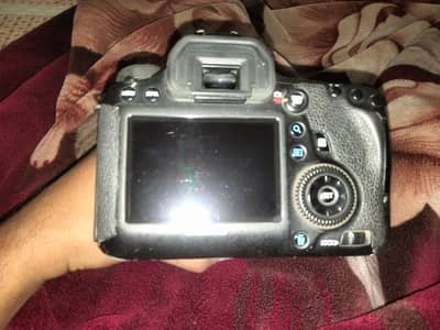 cannon 6d with 24 105 lenz