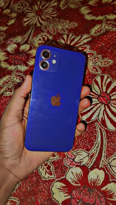 Apple iPhone 12