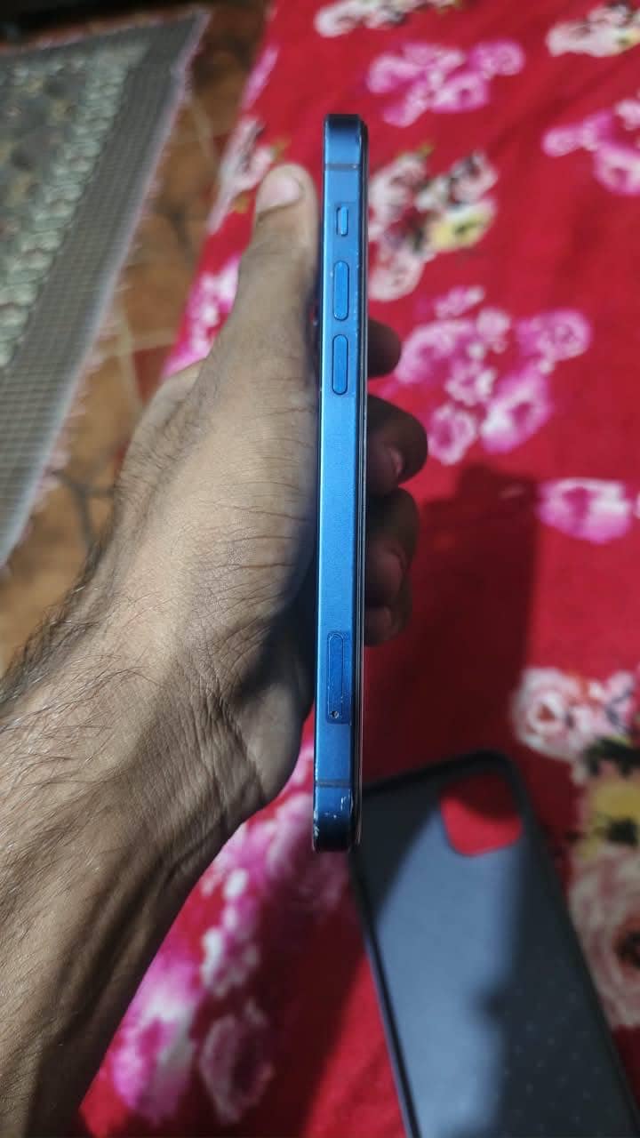 Apple iPhone 12 1