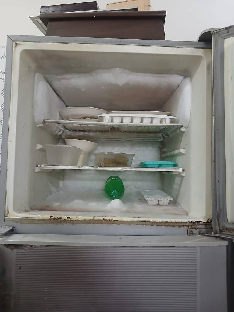 pel Refrigerator 1